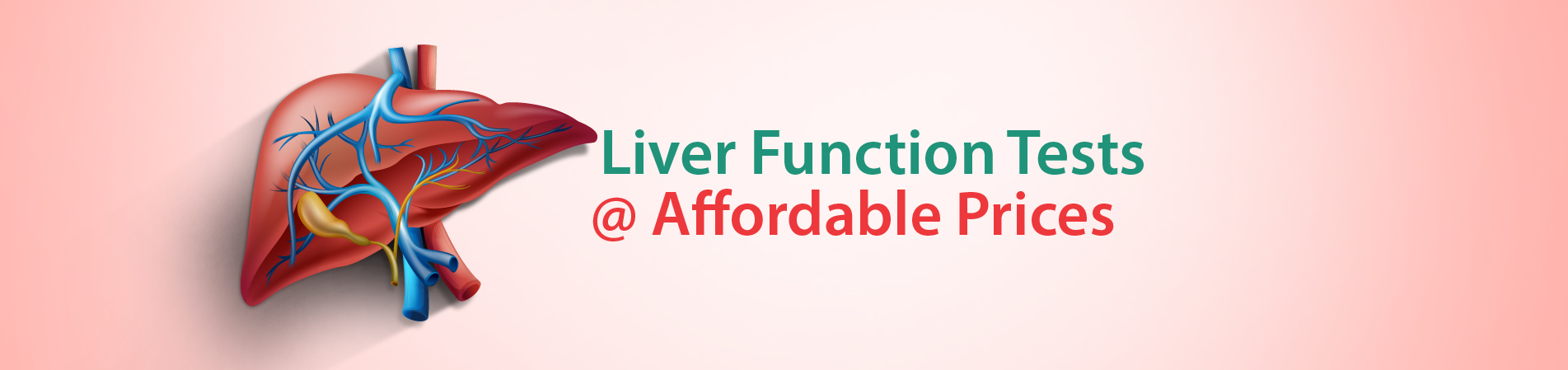 Liver function test