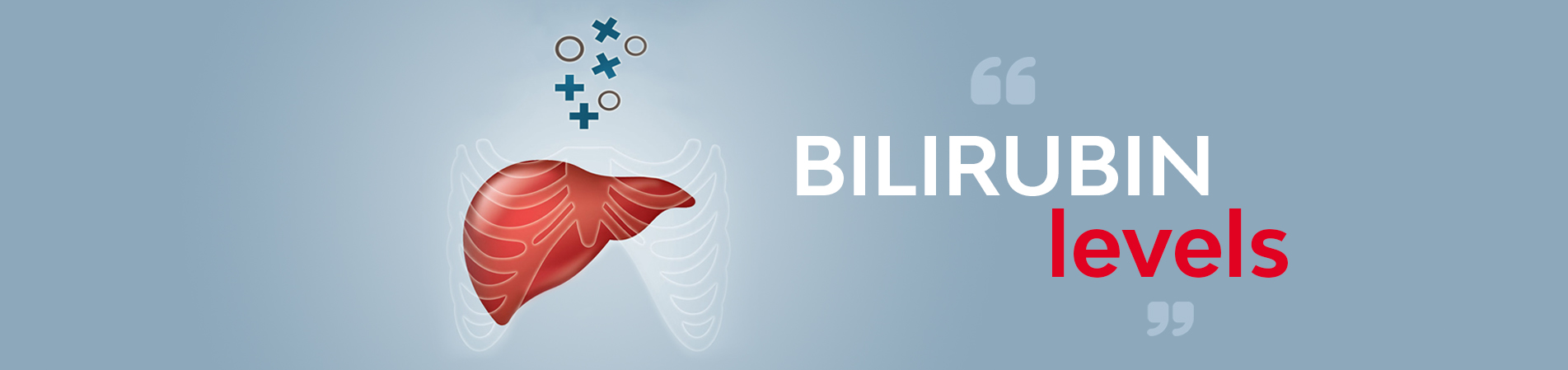 bilirubin test