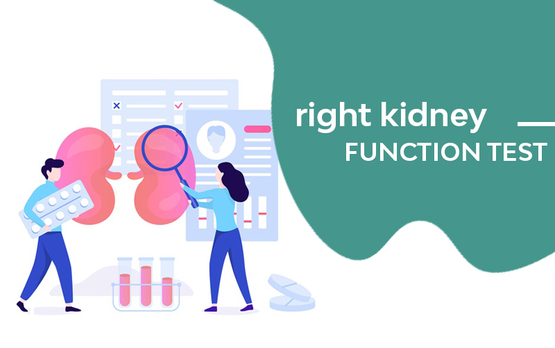 right kidney function test