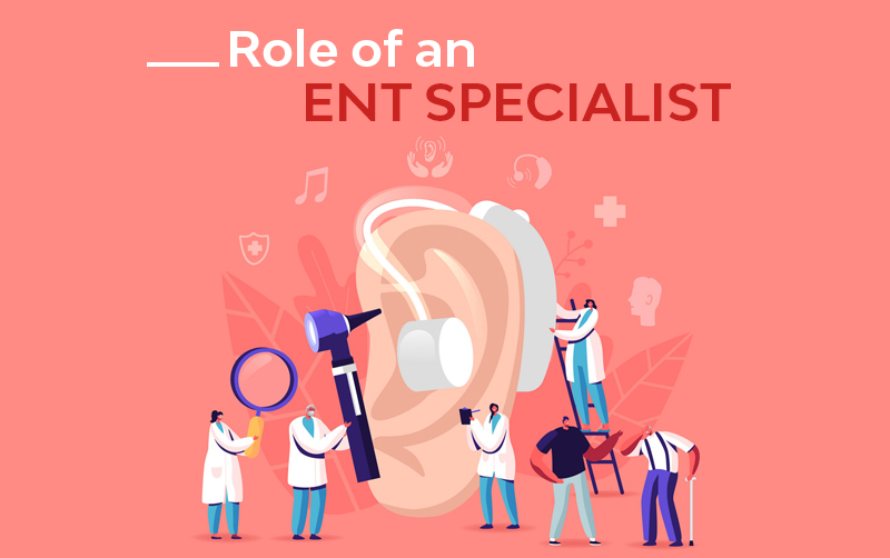 role of an ent specialist