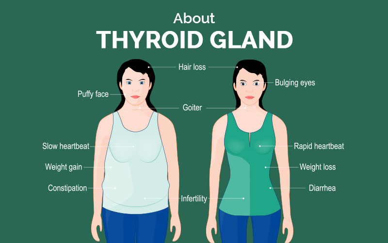 Basics Of Thyroid Disease Types Causes Symptoms Test Treatment And Cost