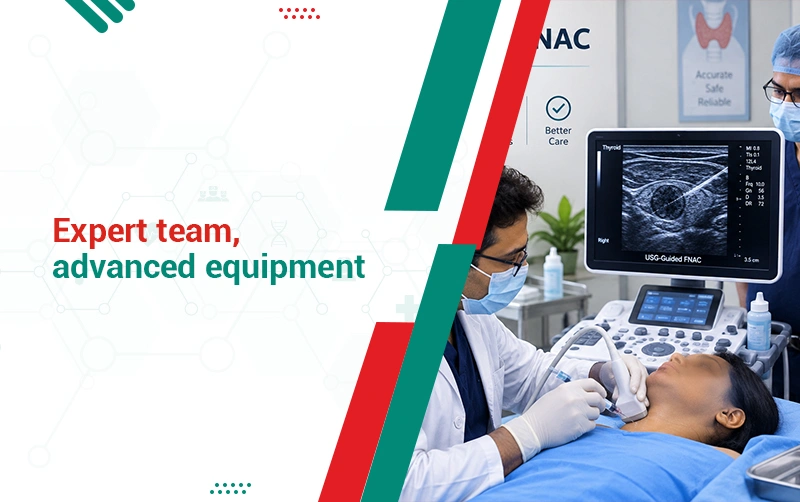 Expert Team